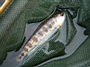 2007-04-08 019.JPG
